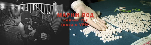 сатива Абинск