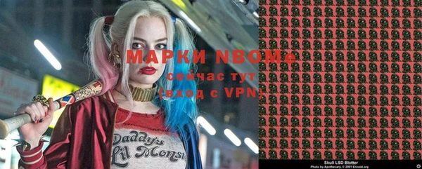 сатива Абинск