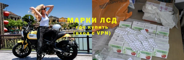 сатива Абинск